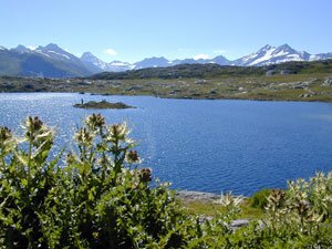 Col du Grimsel